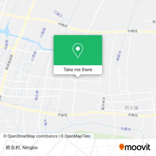 桥东村 map
