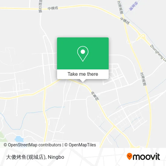 大傻烤鱼(观城店) map