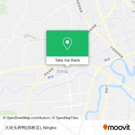 大块头烤鸭(洞桥店) map