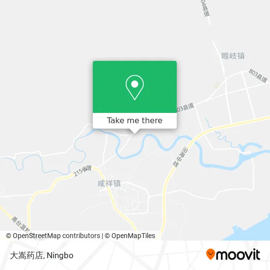 大嵩药店 map