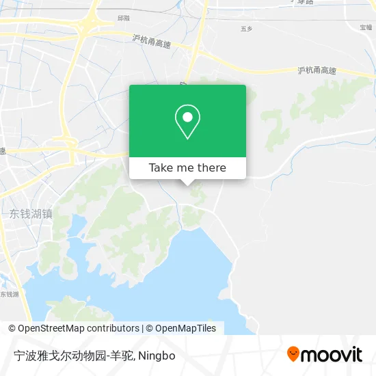 宁波雅戈尔动物园-羊驼 map