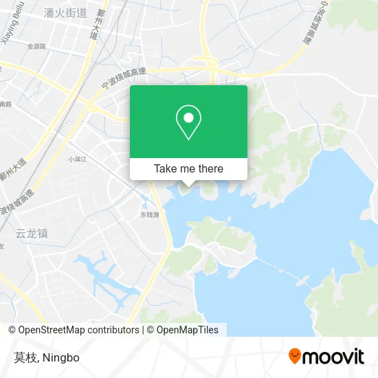 莫枝 map
