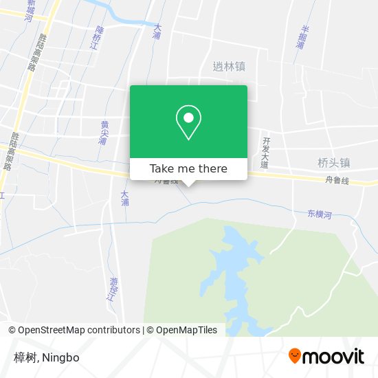 樟树 map