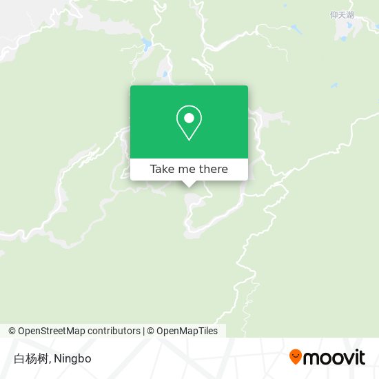 白杨树 map