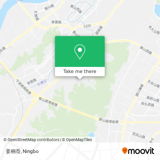 姜桐岙 map
