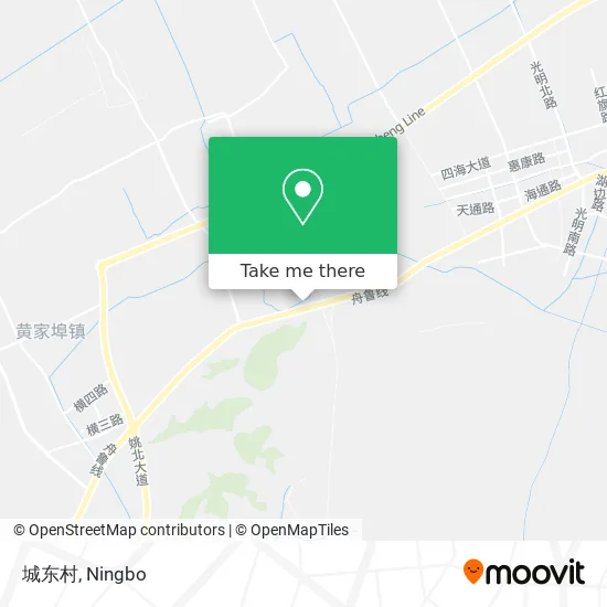 城东村 map