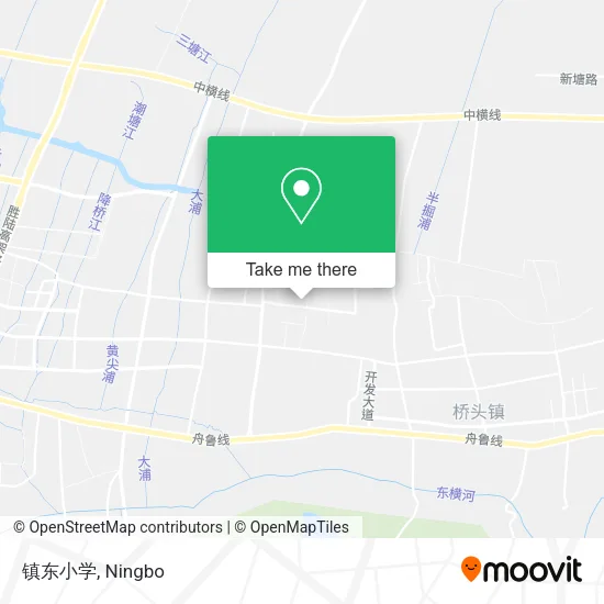 镇东小学 map