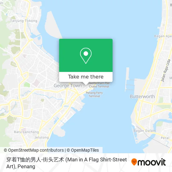 穿着T恤的男人-街头艺术 (Man in A Flag Shirt-Street Art) map