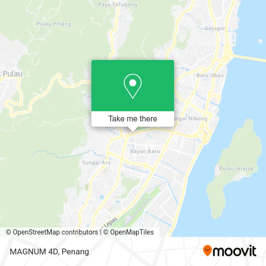 MAGNUM 4D map