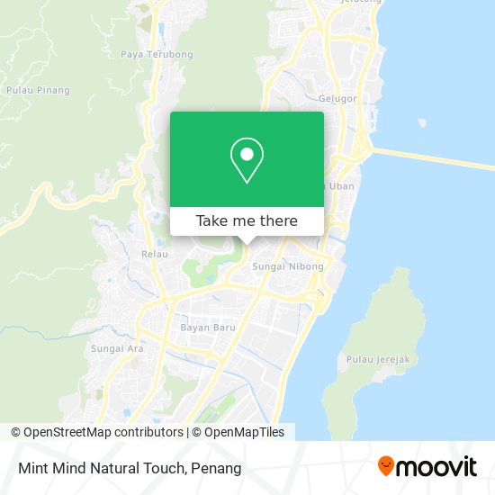Peta Mint Mind Natural Touch