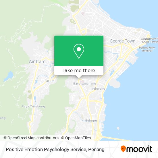 Positive Emotion Psychology Service map