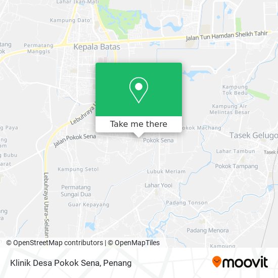 Peta Klinik Desa Pokok Sena