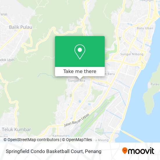 Peta Springfield Condo Basketball Court