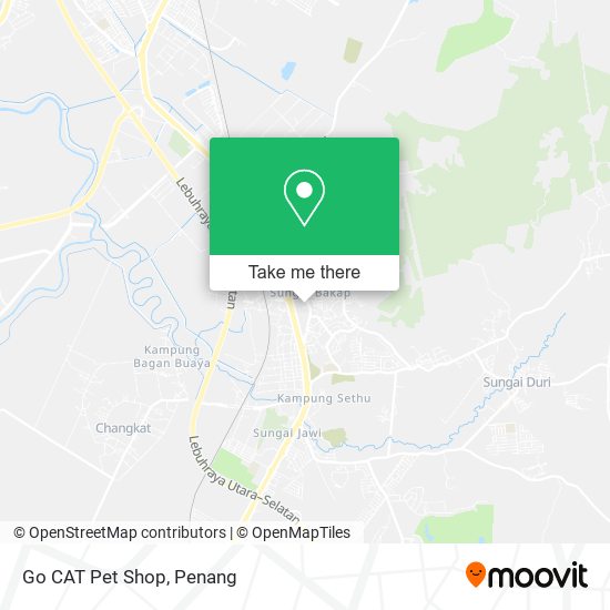 Go CAT Pet Shop map