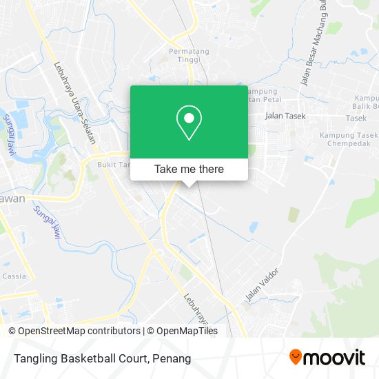 Peta Tangling Basketball Court