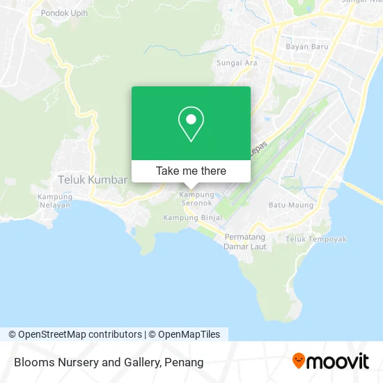 Blooms Nursery and Gallery map