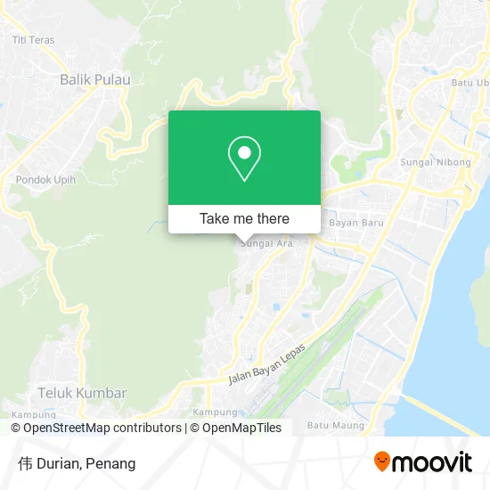 伟 Durian map