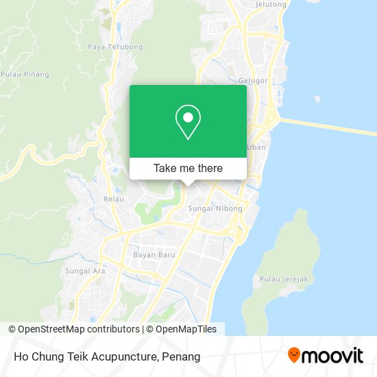 Ho Chung Teik Acupuncture map