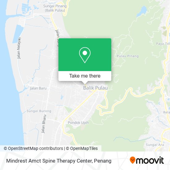 Peta Mindrest Amct Spine Therapy Center