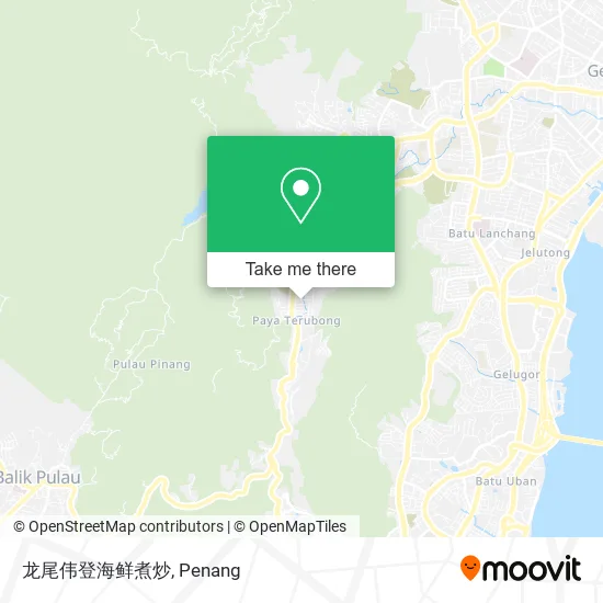 龙尾伟登海鲜煮炒 map