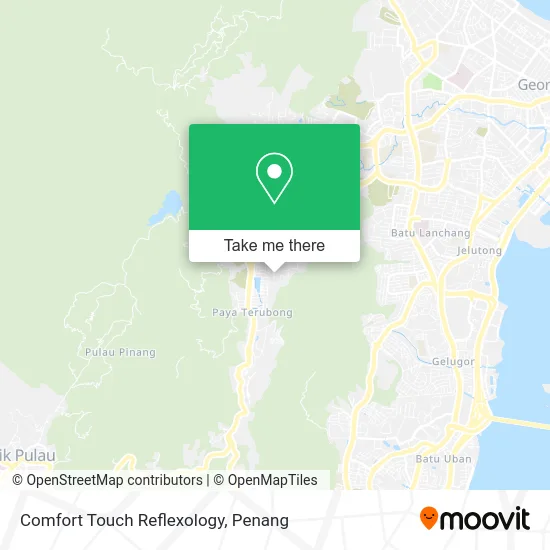 Comfort Touch Reflexology map