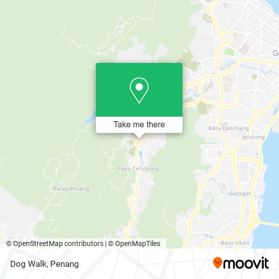 Dog Walk map