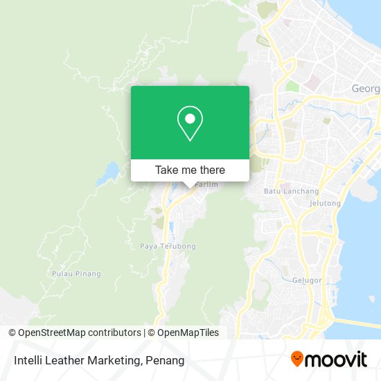 Intelli Leather Marketing map