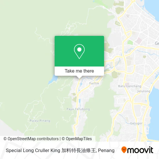 Special Long Cruller King 加料特長油條王 map