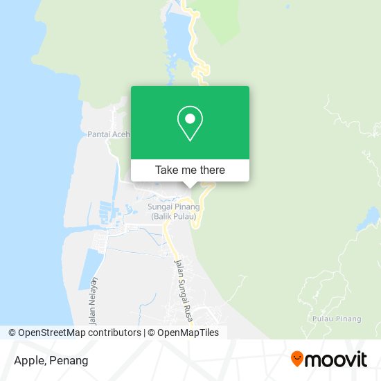 Apple map