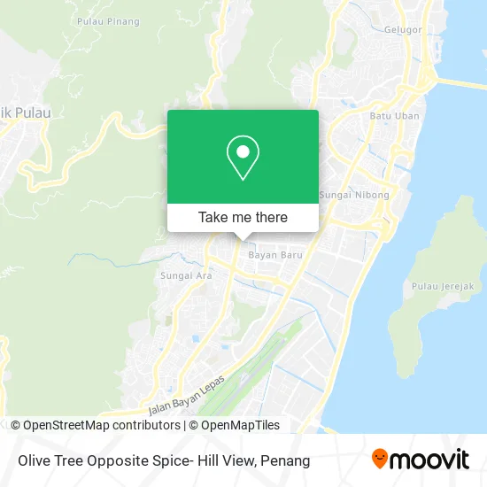 Olive Tree Opposite Spice- Hill View map