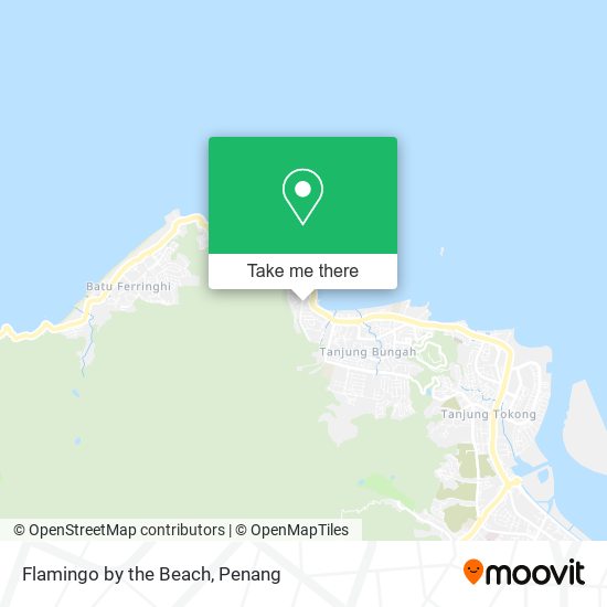 Flamingo by the Beach map
