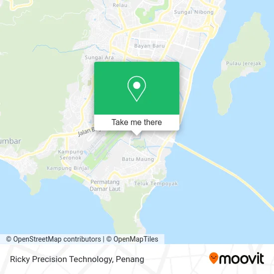 Ricky Precision Technology map