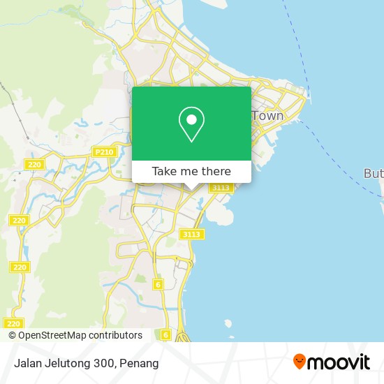 Jalan Jelutong 300 map