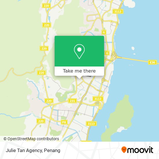 Peta Julie Tan Agency