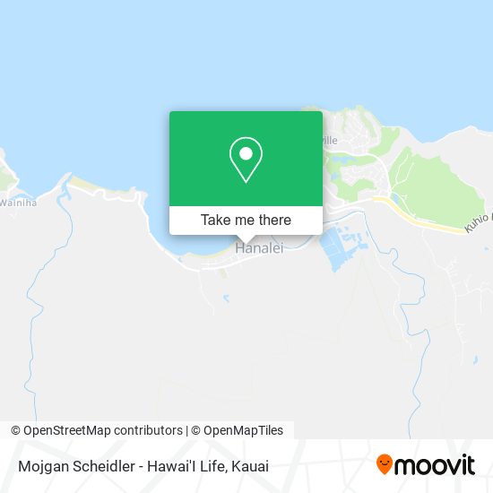 Mapa de Mojgan Scheidler - Hawai'I Life