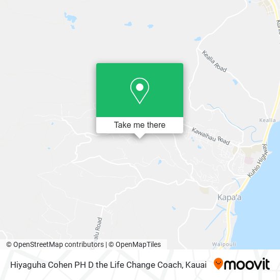 Hiyaguha Cohen PH D the Life Change Coach map