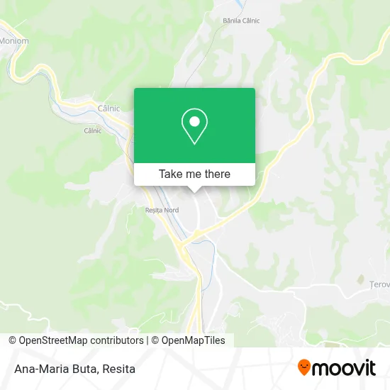 Ana-Maria Buta map
