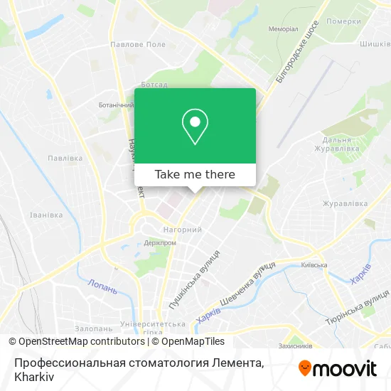 Карта Профессиональная стоматология Лемента