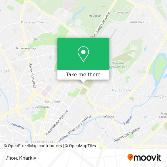 Ліон map