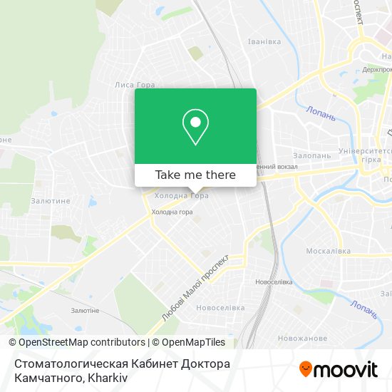 Карта Стоматологическая Кабинет Доктора Камчатного