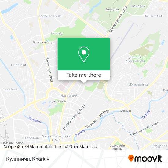 Кулиничи map