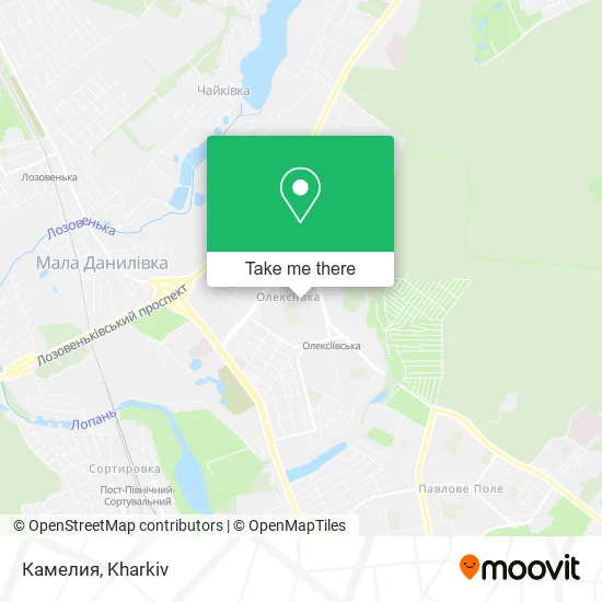 Карта Камелия