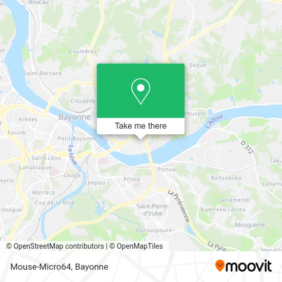 Mouse-Micro64 map