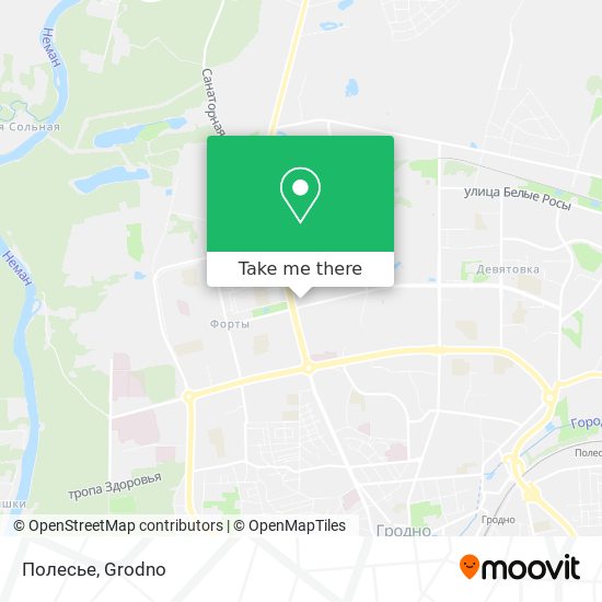 Полесье map