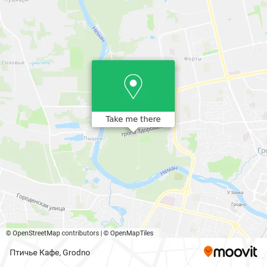 Птичье Кафе map