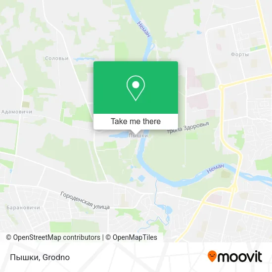 Пышки map