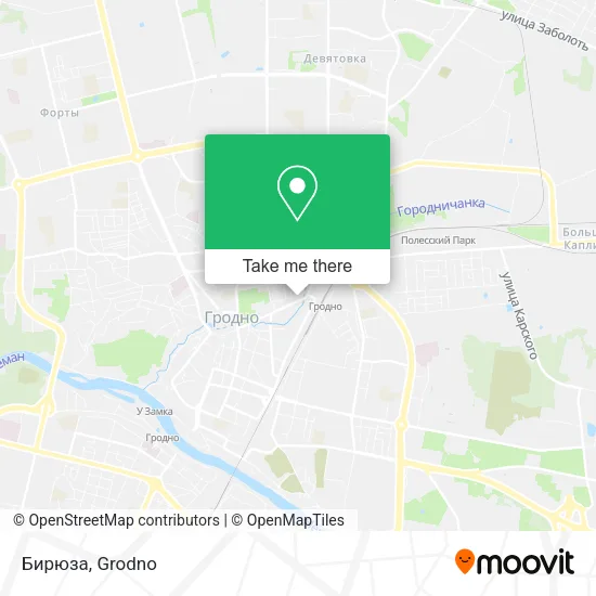 Бирюза map