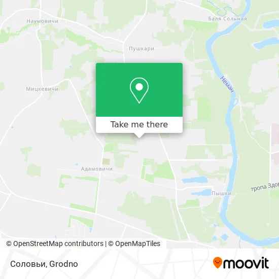 Соловьи map