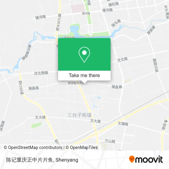 陈记重庆正中片片鱼 map
