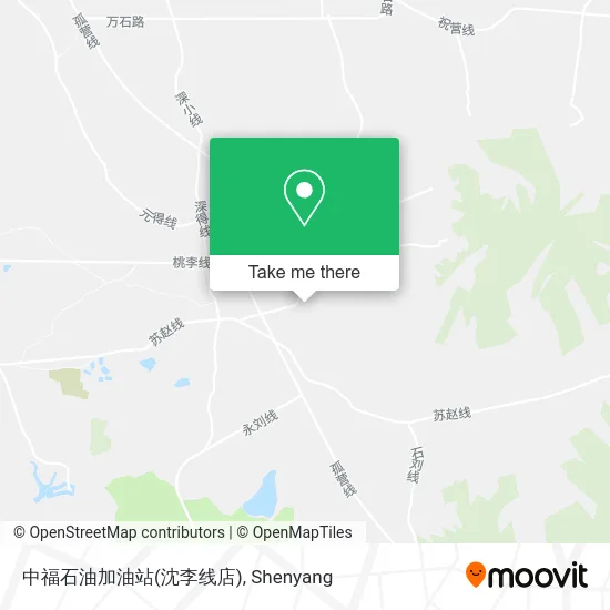 中福石油加油站(沈李线店) map